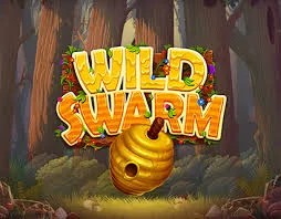 Play the Wild Swarm slot by Push Gaming on Rollxo Casino